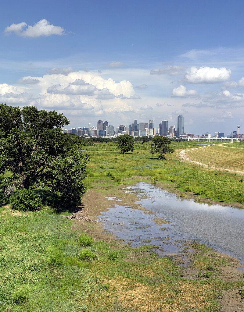 Dallas skyline